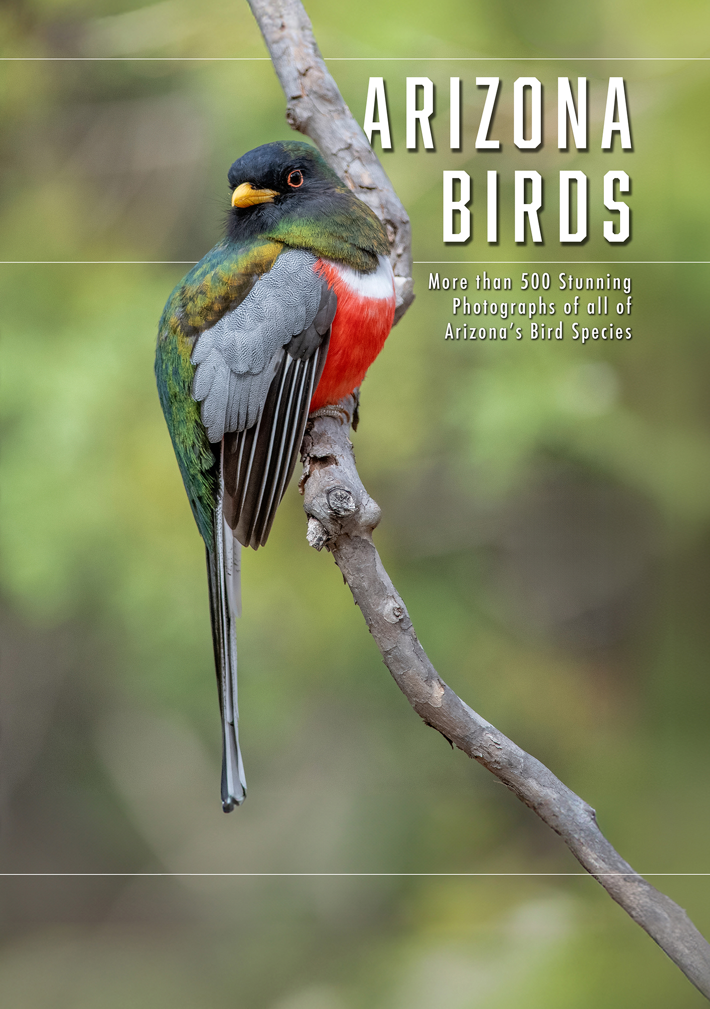 cover 4 front trimmed